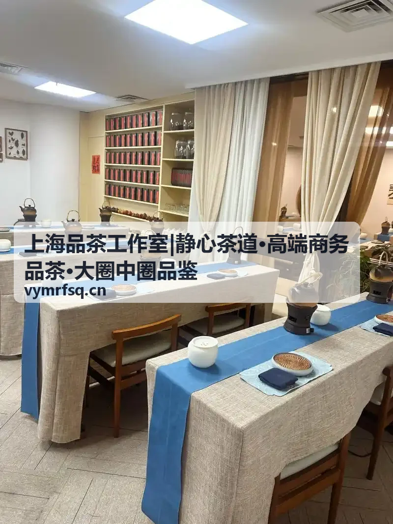 上海品茶工作室乌龙品鉴专场